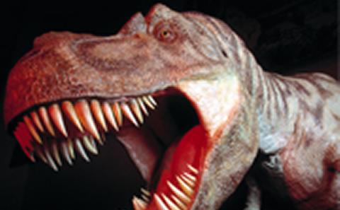 Tyrannosaurus rex
